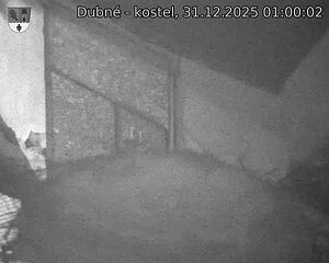 Capi_Dubne_20251231_010002.jpg (1350&nbsp;x&nbsp;1080)