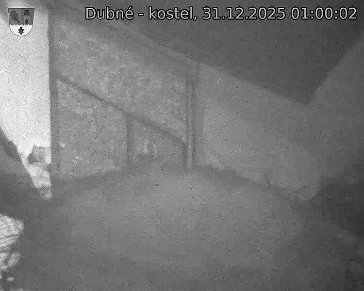 Capi_Dubne_20251231_010002.jpg (1350&nbsp;x&nbsp;1080)