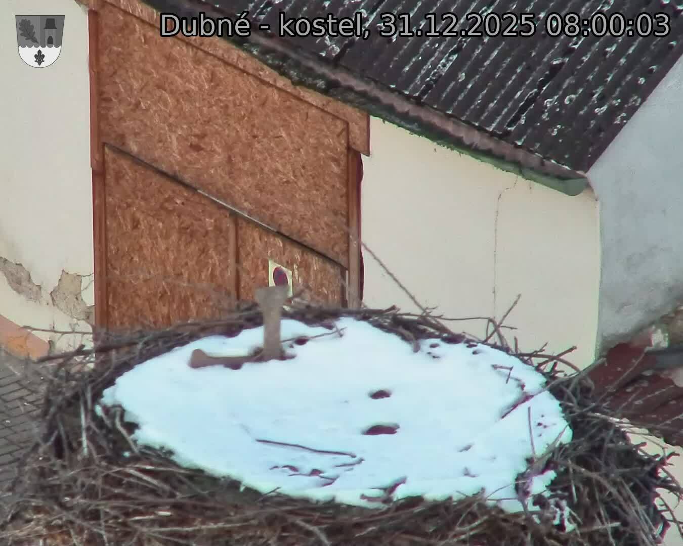 Capi_Dubne_20251231_080003.jpg (1350&nbsp;x&nbsp;1080)