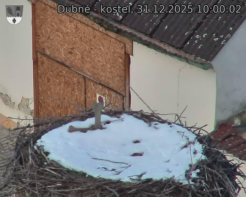Capi_Dubne_20251231_100002.jpg (1350&nbsp;x&nbsp;1080)