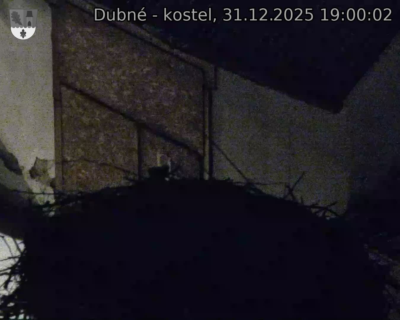 Capi_Dubne_20251231_190002.jpg (1350&nbsp;x&nbsp;1080)