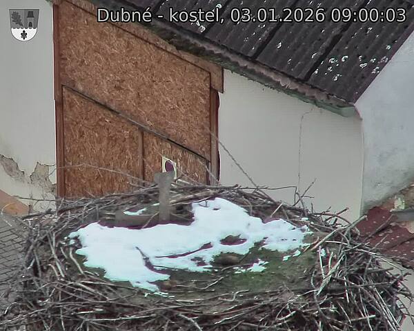 Capi_Dubne_20260103_090003.jpg (1350&nbsp;x&nbsp;1080)