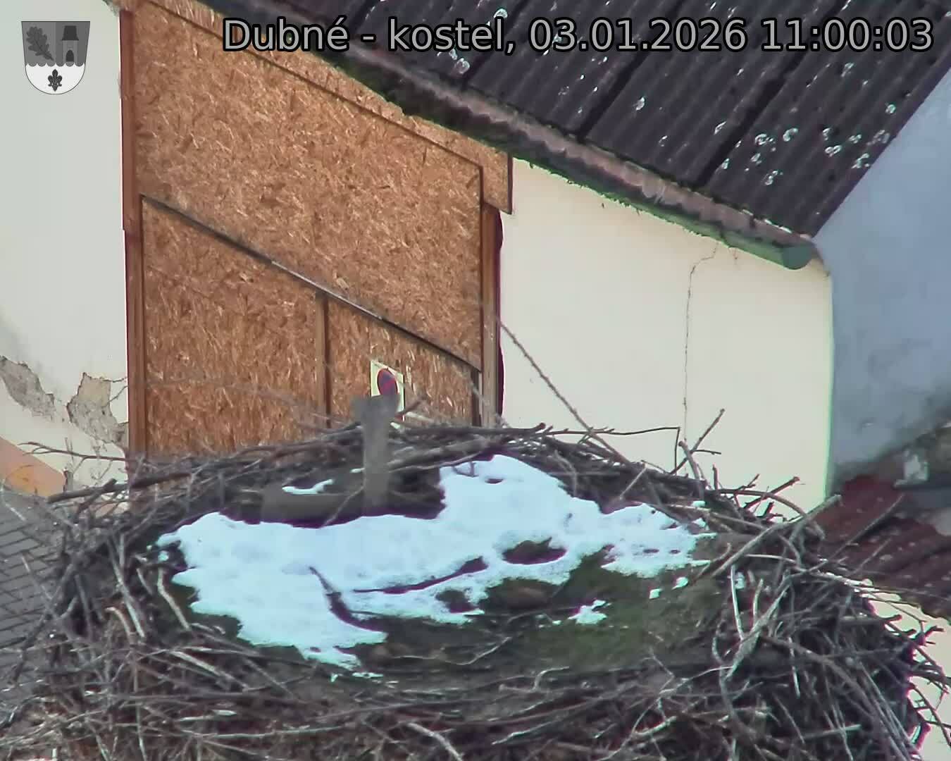 Capi_Dubne_20260103_110003.jpg (1350&nbsp;x&nbsp;1080)