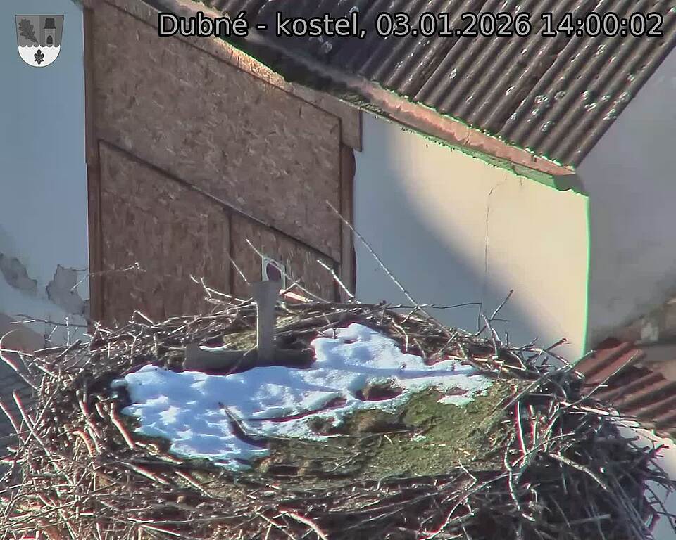 Capi_Dubne_20260103_140002.jpg (1350&nbsp;x&nbsp;1080)
