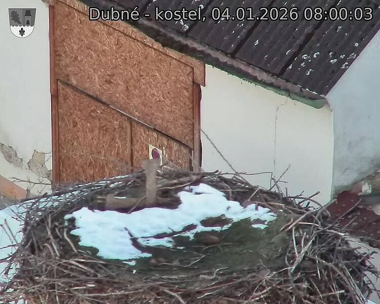 Capi_Dubne_20260104_080003.jpg (1350&nbsp;x&nbsp;1080)