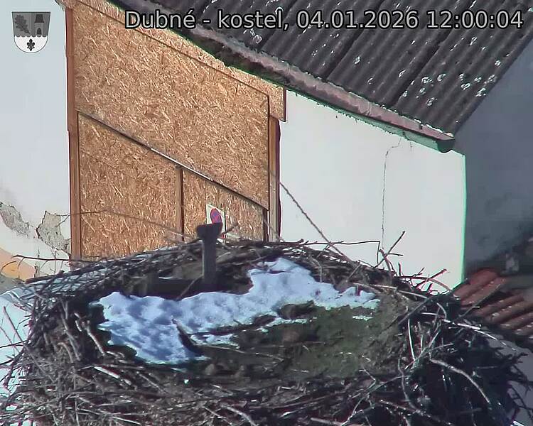 Capi_Dubne_20260104_120004.jpg (1350&nbsp;x&nbsp;1080)