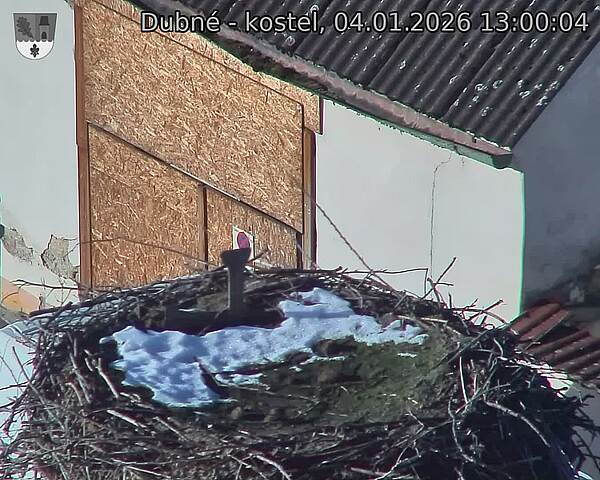 Capi_Dubne_20260104_130004.jpg (1350&nbsp;x&nbsp;1080)