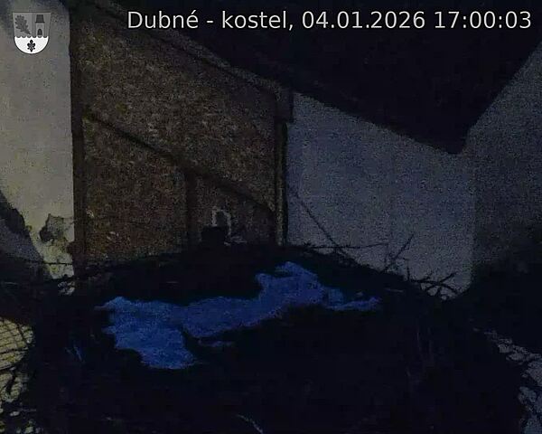 Capi_Dubne_20260104_170003.jpg (1350&nbsp;x&nbsp;1080)