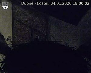 Capi_Dubne_20260104_180002.jpg (1350&nbsp;x&nbsp;1080)