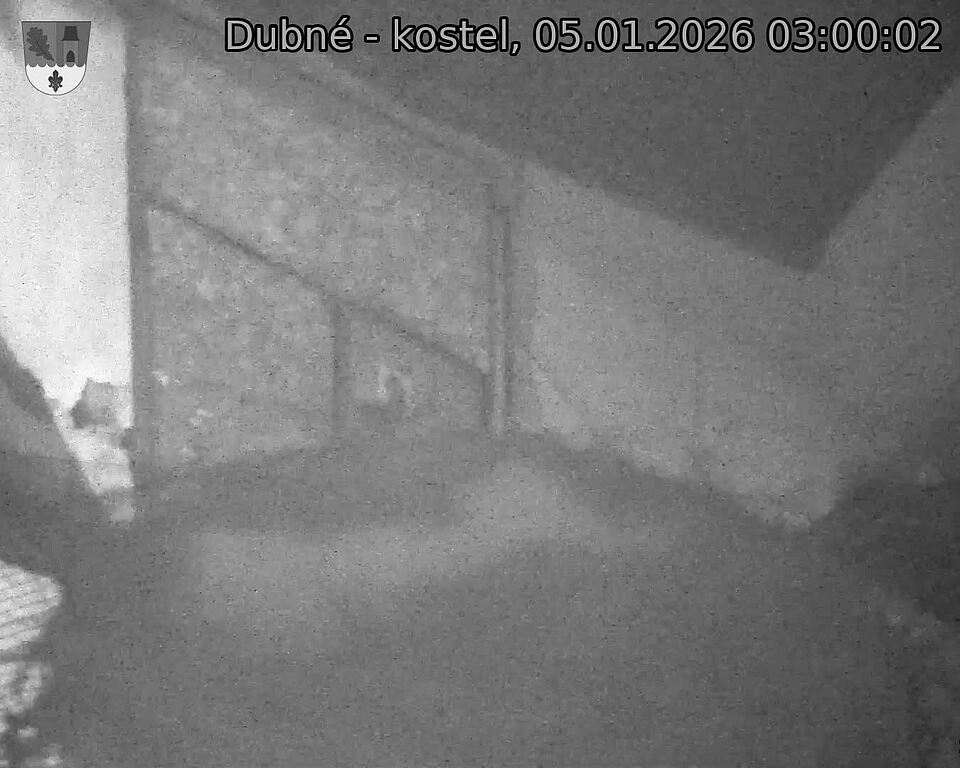 Capi_Dubne_20260105_030002.jpg (1350&nbsp;x&nbsp;1080)