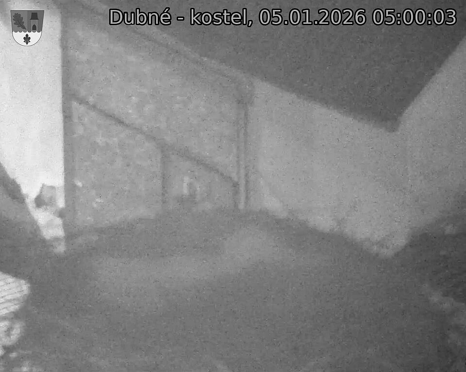 Capi_Dubne_20260105_050003.jpg (1350&nbsp;x&nbsp;1080)