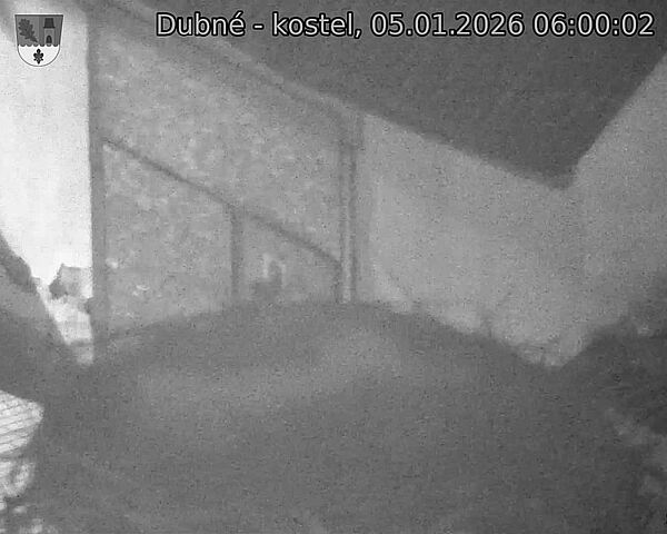 Capi_Dubne_20260105_060002.jpg (1350&nbsp;x&nbsp;1080)