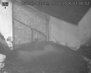 Capi_Dubne_20260105_070002.jpg (1350&nbsp;x&nbsp;1080)