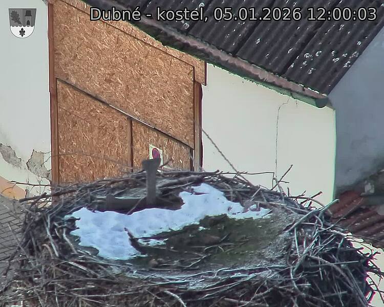 Capi_Dubne_20260105_120003.jpg (1350&nbsp;x&nbsp;1080)