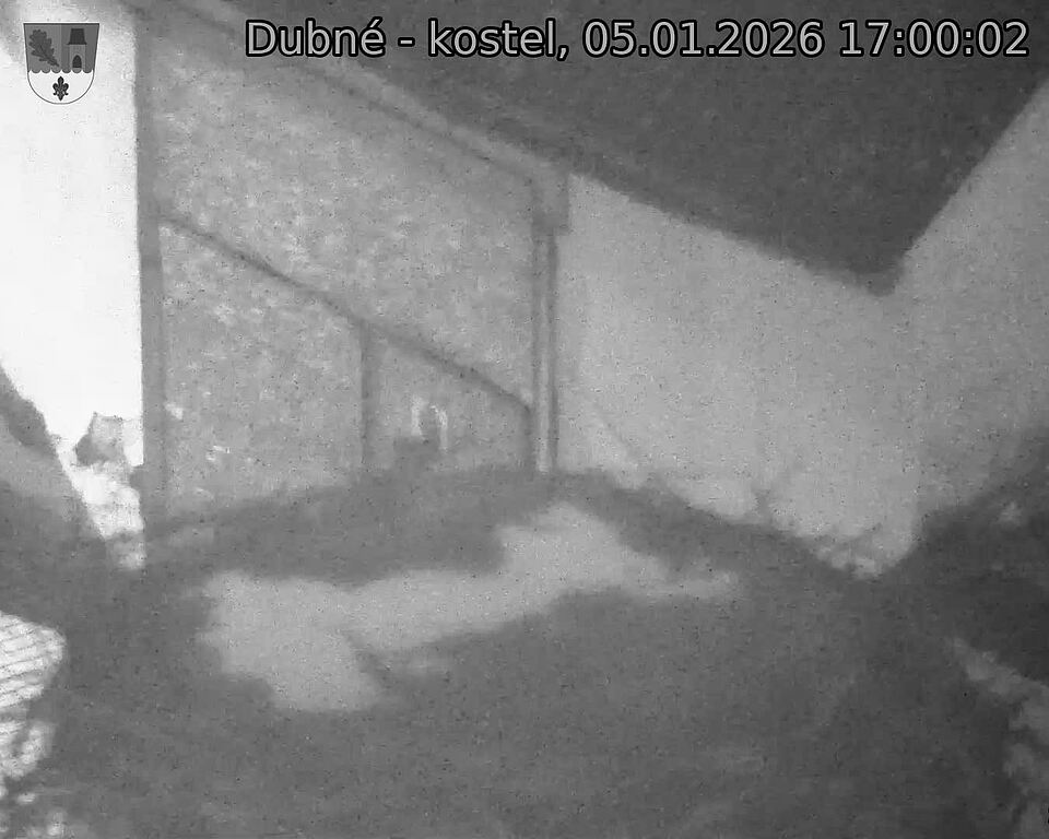 Capi_Dubne_20260105_170002.jpg (1350&nbsp;x&nbsp;1080)
