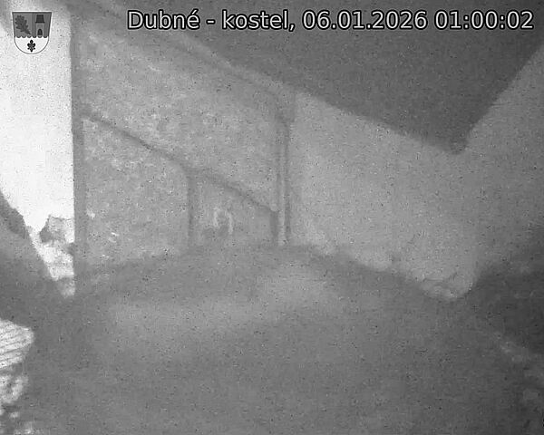 Capi_Dubne_20260106_010002.jpg (1350&nbsp;x&nbsp;1080)