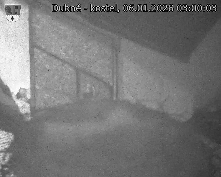 Capi_Dubne_20260106_030003.jpg (1350&nbsp;x&nbsp;1080)