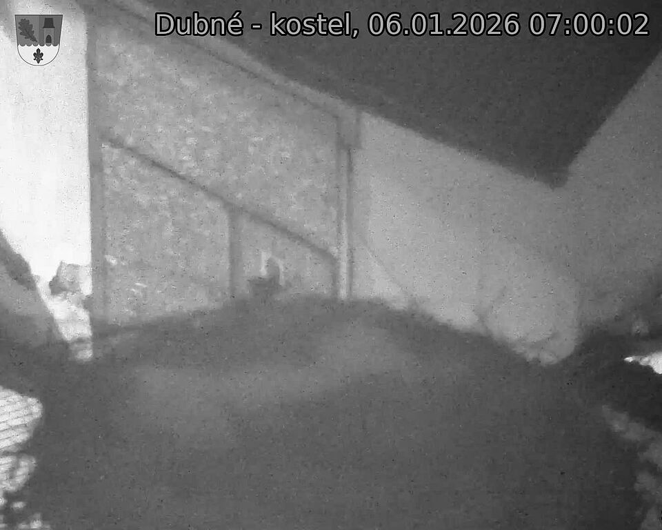 Capi_Dubne_20260106_070002.jpg (1350&nbsp;x&nbsp;1080)