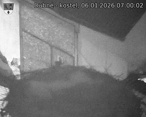 Capi_Dubne_20260106_070002.jpg (1350&nbsp;x&nbsp;1080)