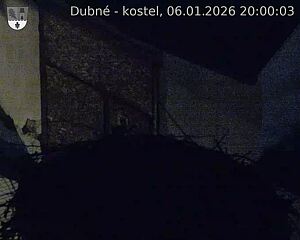 Capi_Dubne_20260106_200003.jpg (1350&nbsp;x&nbsp;1080)