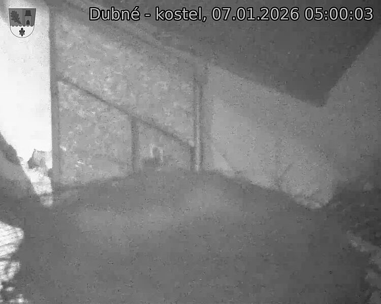 Capi_Dubne_20260107_050003.jpg (1350&nbsp;x&nbsp;1080)