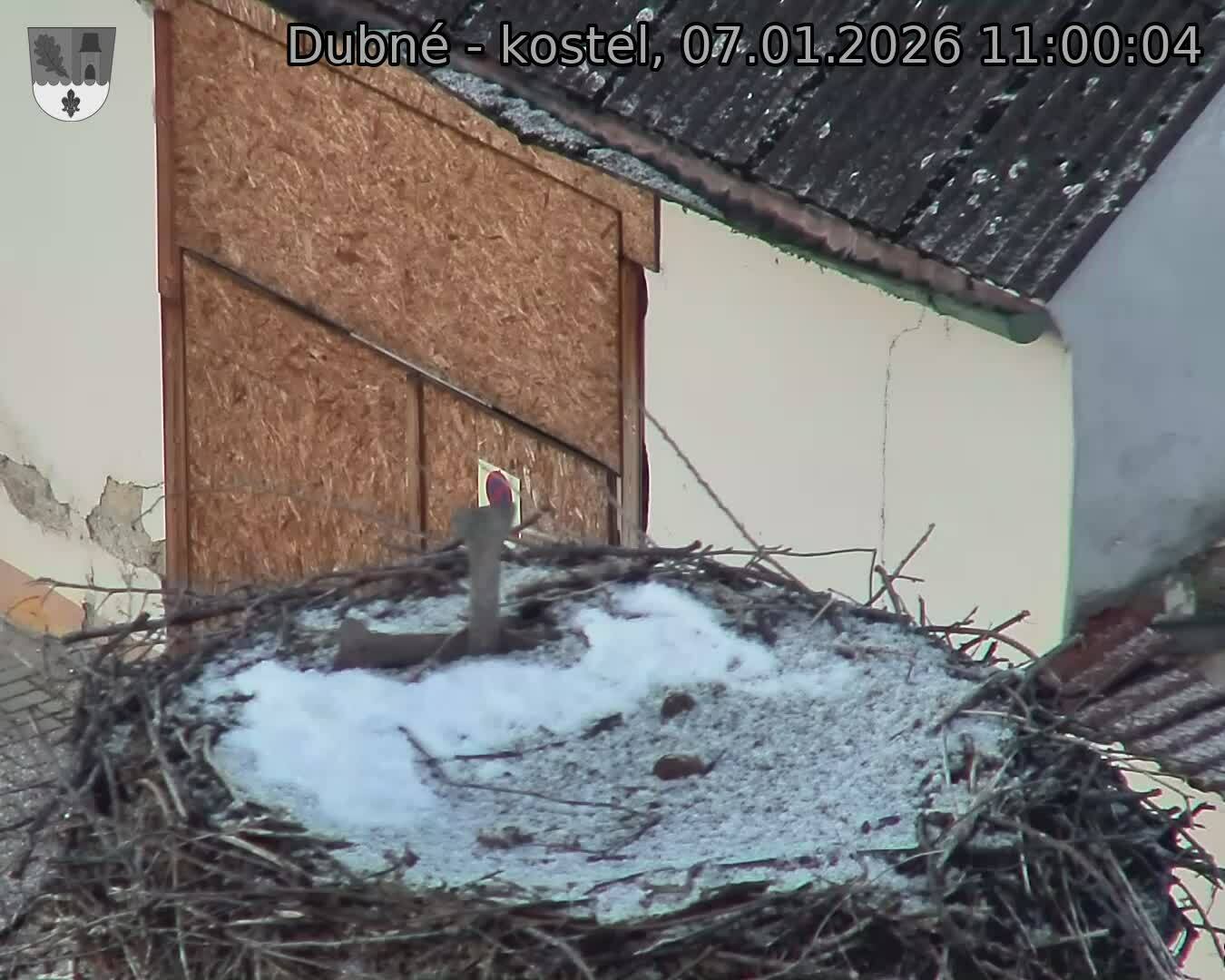 Capi_Dubne_20260107_110004.jpg (1350&nbsp;x&nbsp;1080)