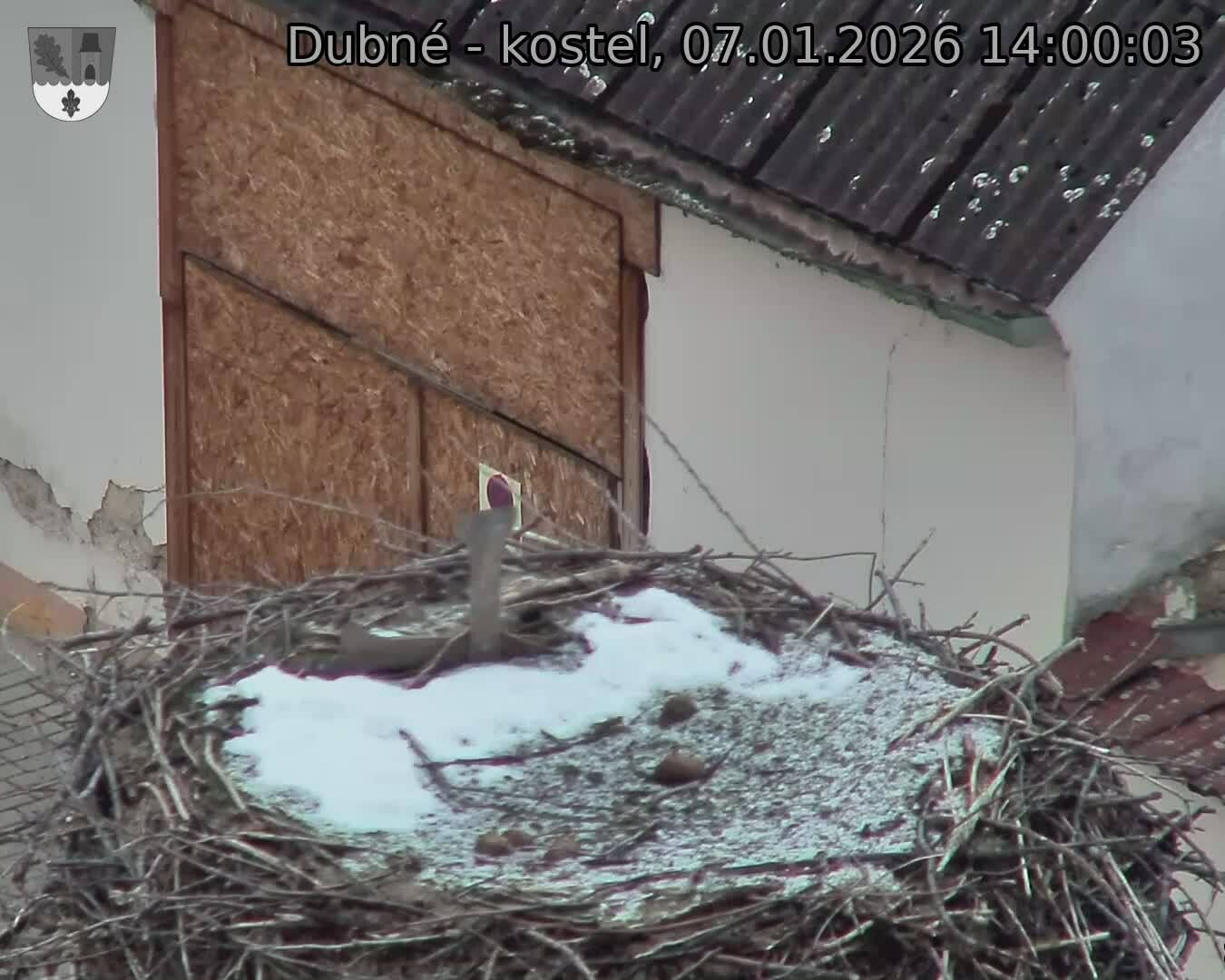 Capi_Dubne_20260107_140003.jpg (1350&nbsp;x&nbsp;1080)