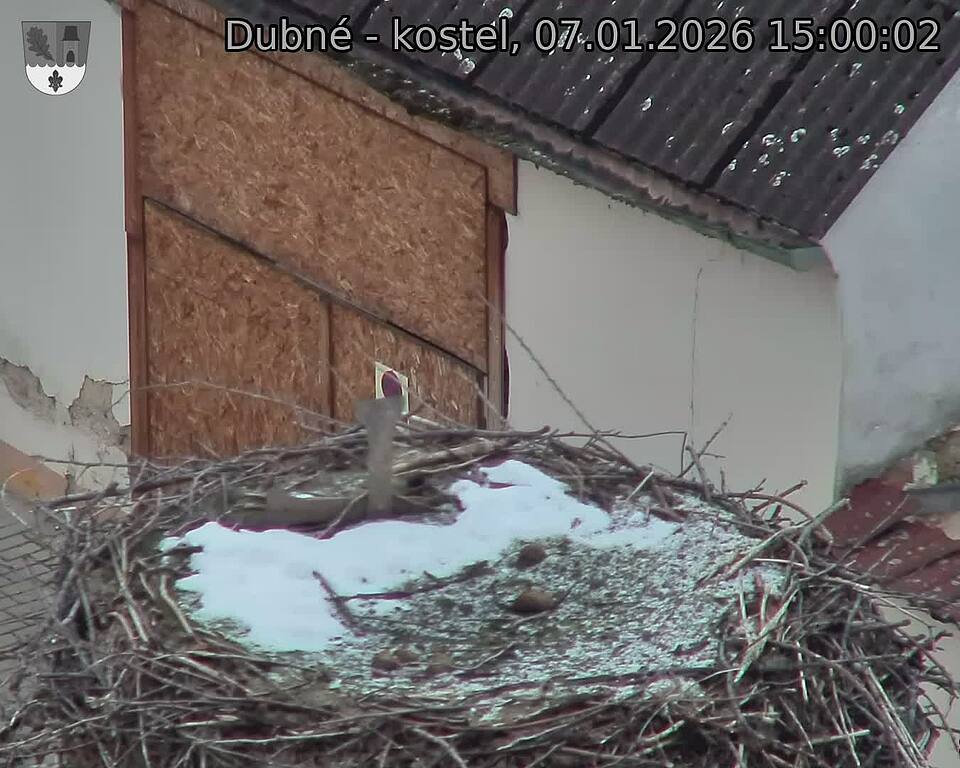 Capi_Dubne_20260107_150002.jpg (1350&nbsp;x&nbsp;1080)