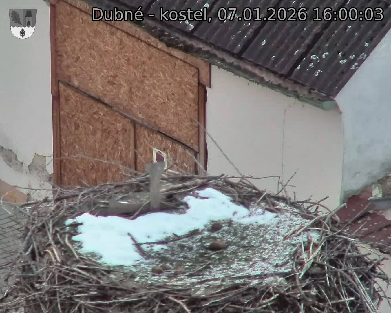Capi_Dubne_20260107_160003.jpg (1350&nbsp;x&nbsp;1080)