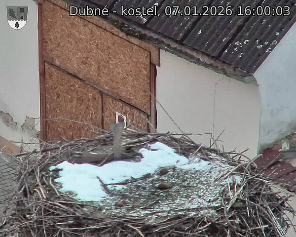Capi_Dubne_20260107_160003.jpg (1350&nbsp;x&nbsp;1080)