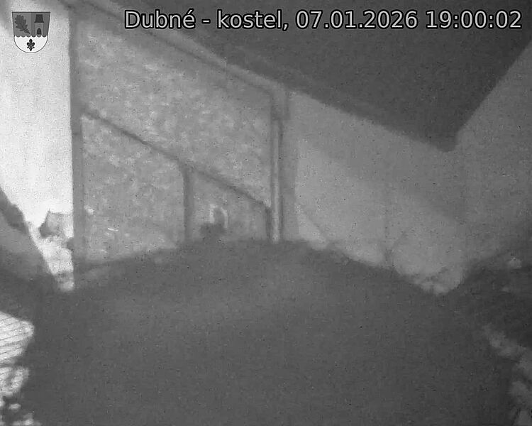 Capi_Dubne_20260107_190002.jpg (1350&nbsp;x&nbsp;1080)