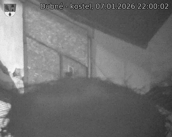 Capi_Dubne_20260107_220002.jpg (1350&nbsp;x&nbsp;1080)