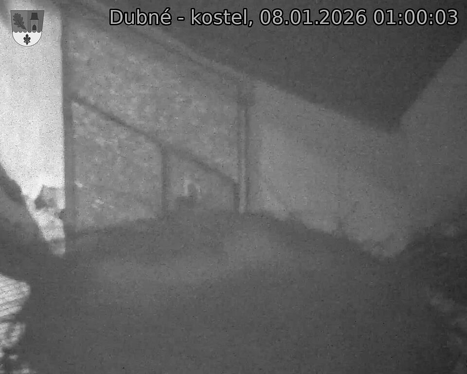 Capi_Dubne_20260108_010003.jpg (1350&nbsp;x&nbsp;1080)
