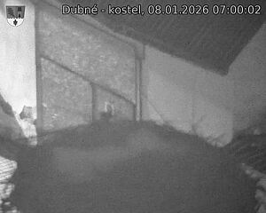 Capi_Dubne_20260108_070002.jpg (1350&nbsp;x&nbsp;1080)