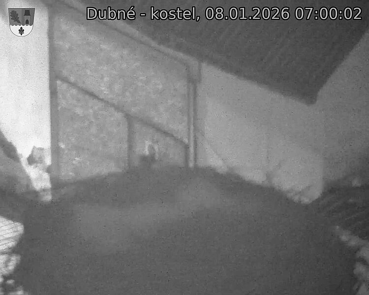 Capi_Dubne_20260108_070002.jpg (1350&nbsp;x&nbsp;1080)