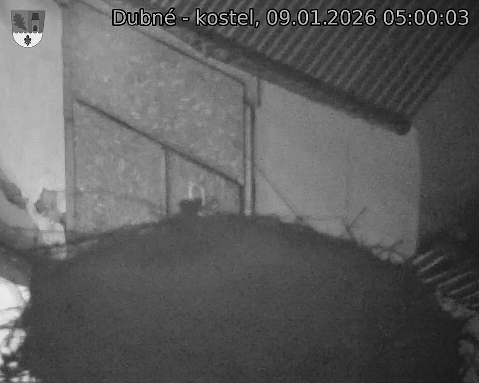 Capi_Dubne_20260109_050003.jpg (1350&nbsp;x&nbsp;1080)