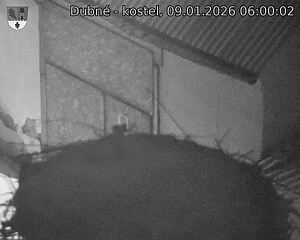 Capi_Dubne_20260109_060002.jpg (1350&nbsp;x&nbsp;1080)