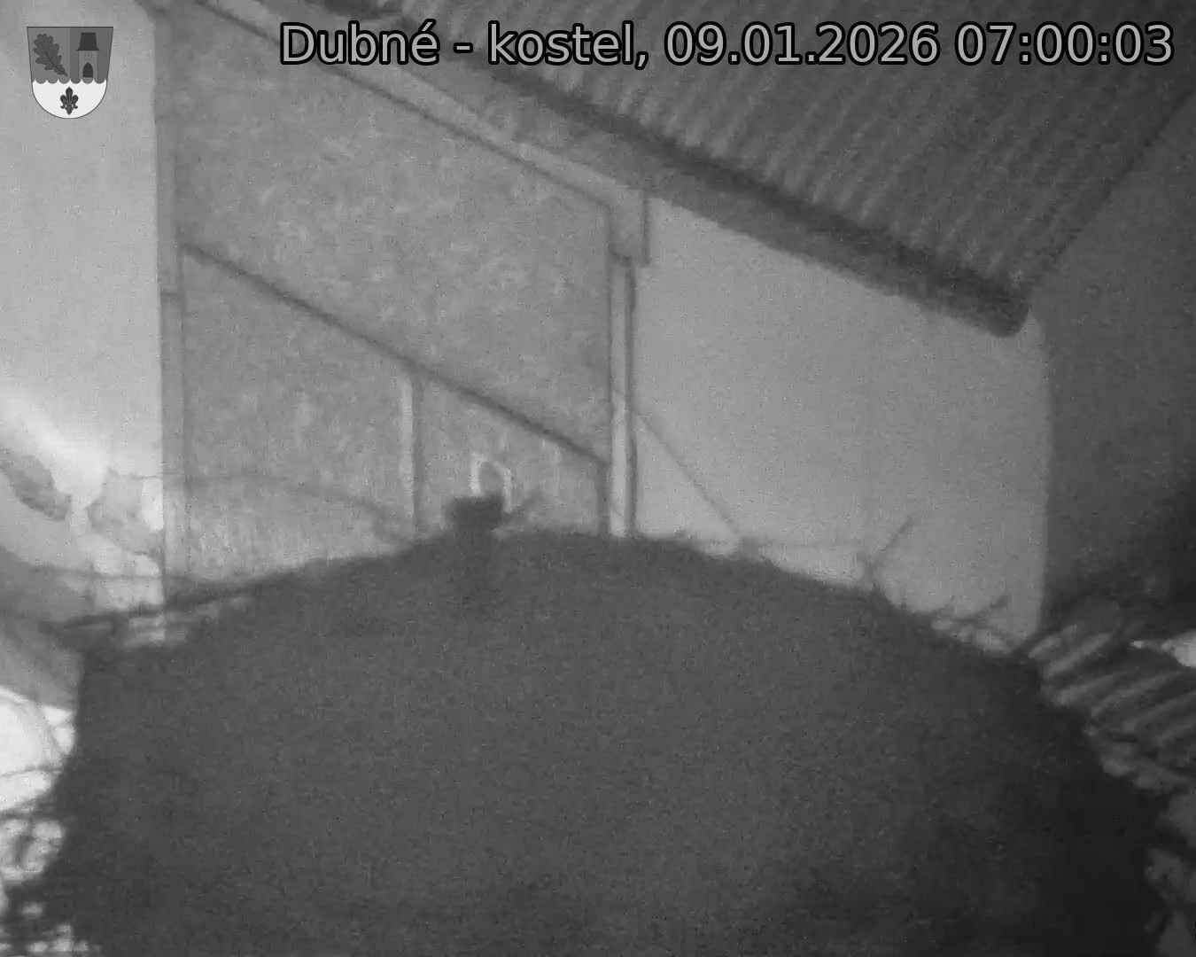 Capi_Dubne_20260109_070003.jpg (1350&nbsp;x&nbsp;1080)