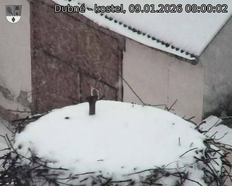 Capi_Dubne_20260109_080002.jpg (1350&nbsp;x&nbsp;1080)