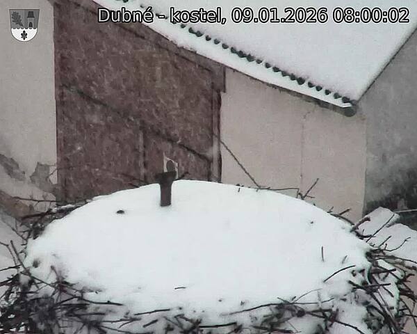 Capi_Dubne_20260109_080002.jpg (1350&nbsp;x&nbsp;1080)