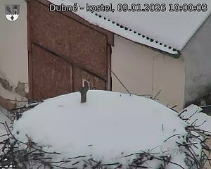 Capi_Dubne_20260109_100003.jpg (1350&nbsp;x&nbsp;1080)