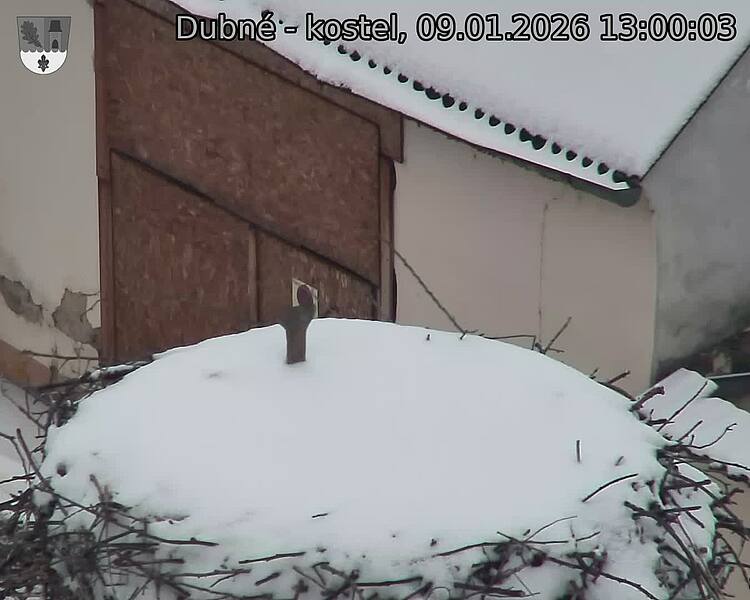 Capi_Dubne_20260109_130003.jpg (1350&nbsp;x&nbsp;1080)
