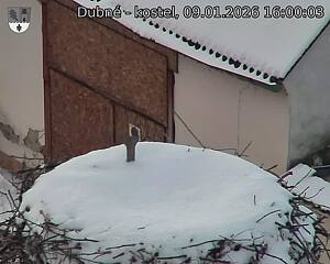 Capi_Dubne_20260109_160003.jpg (1350&nbsp;x&nbsp;1080)