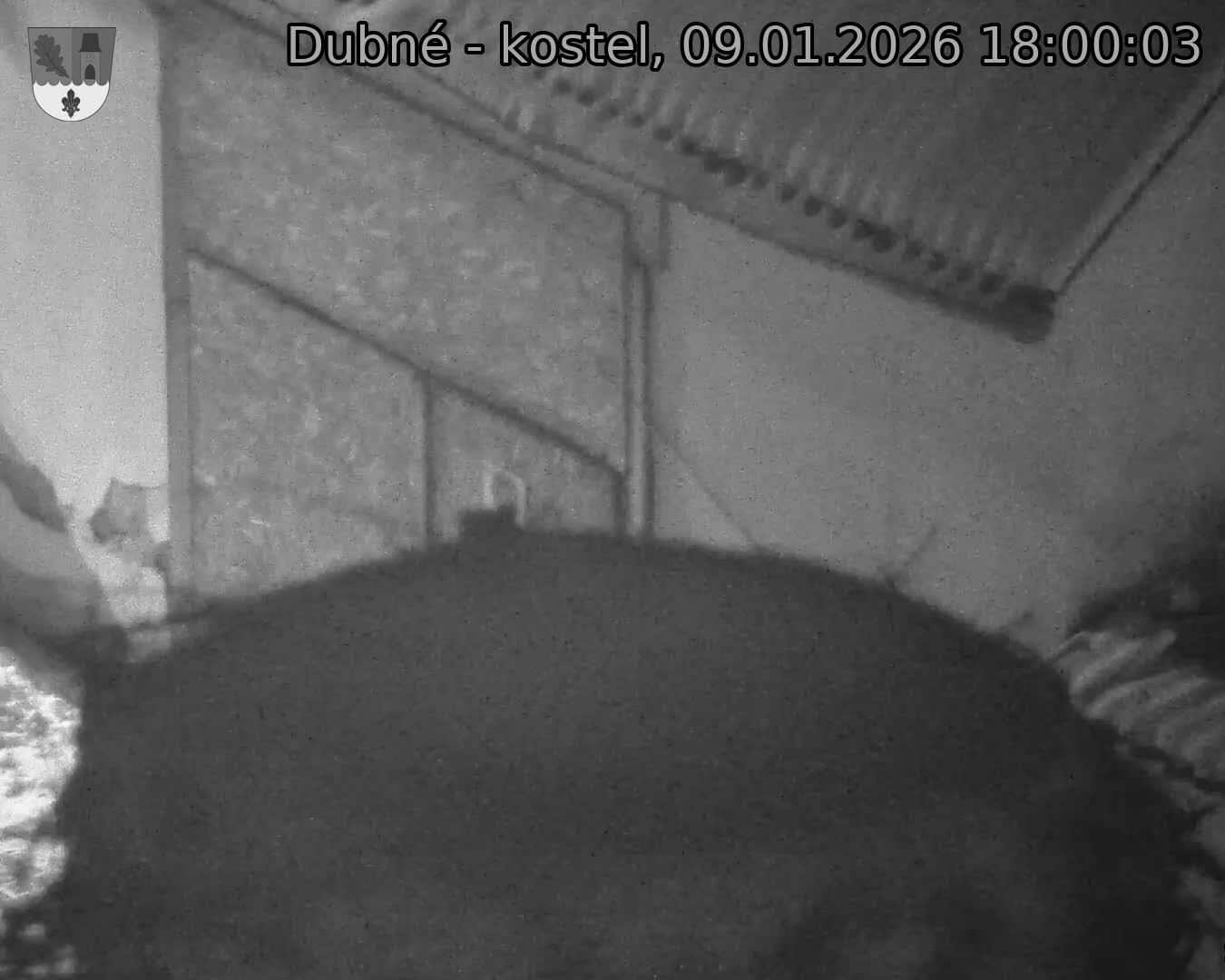 Capi_Dubne_20260109_180003.jpg (1350&nbsp;x&nbsp;1080)