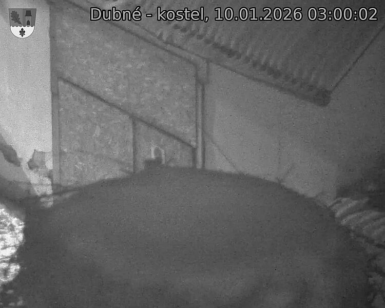 Capi_Dubne_20260110_030002.jpg (1350&nbsp;x&nbsp;1080)