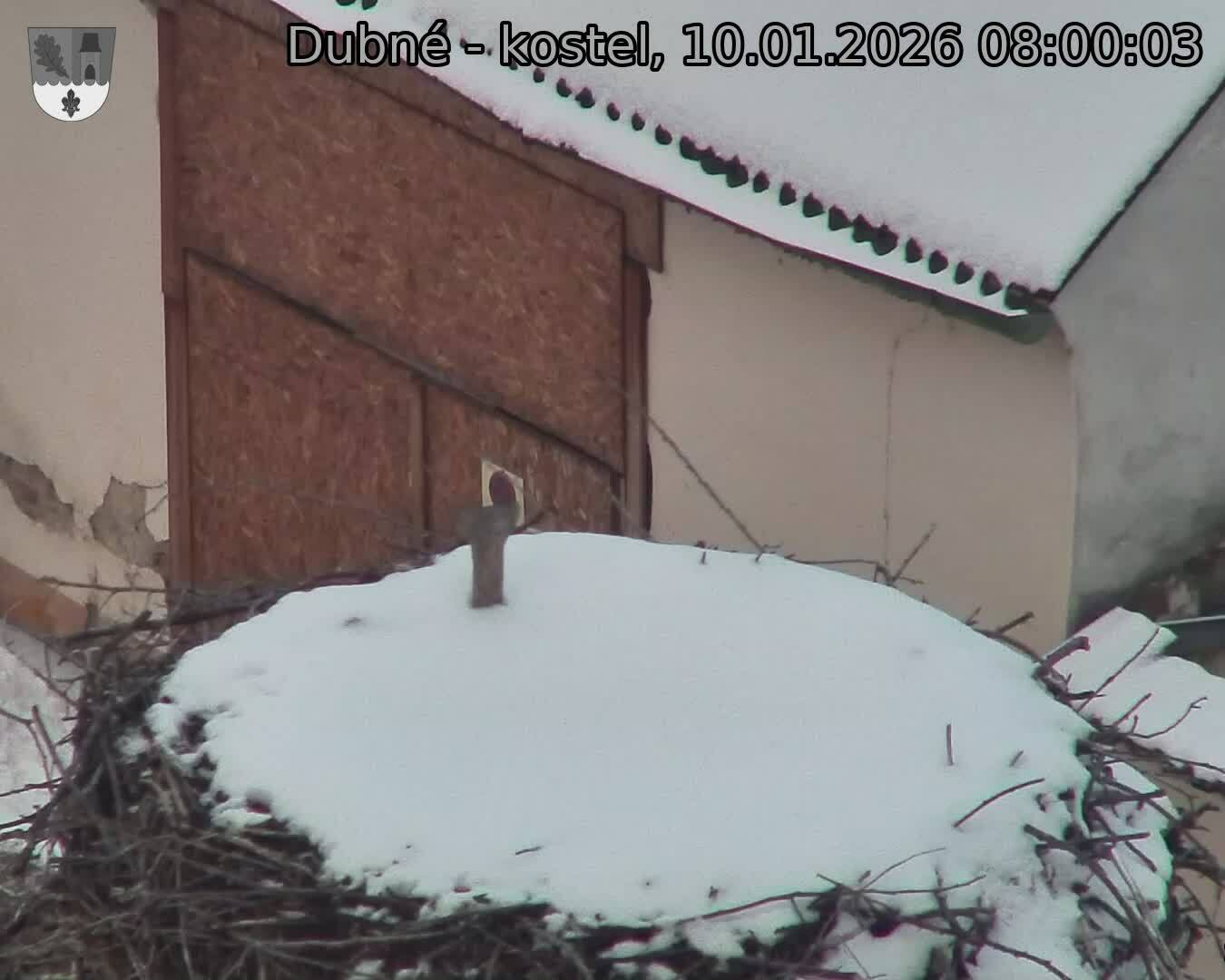 Capi_Dubne_20260110_080003.jpg (1350&nbsp;x&nbsp;1080)