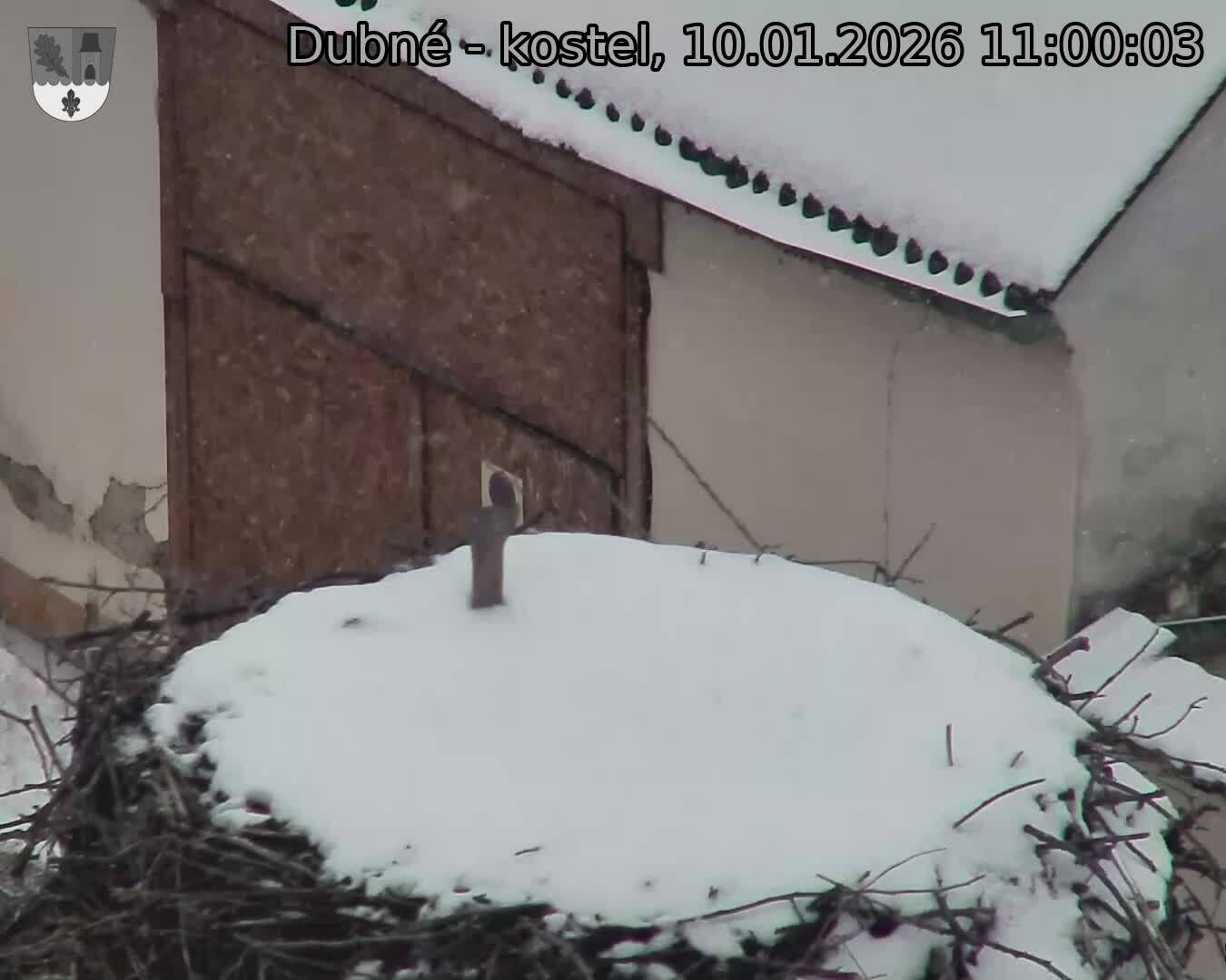 Capi_Dubne_20260110_110003.jpg (1350&nbsp;x&nbsp;1080)