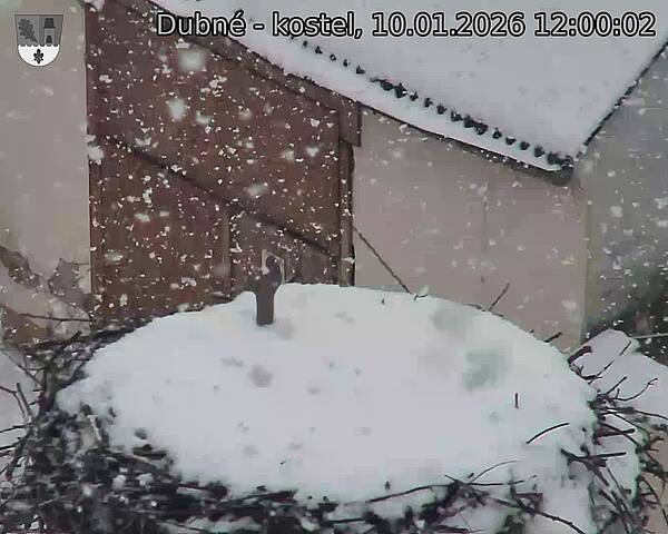 Capi_Dubne_20260110_120002.jpg (1350&nbsp;x&nbsp;1080)