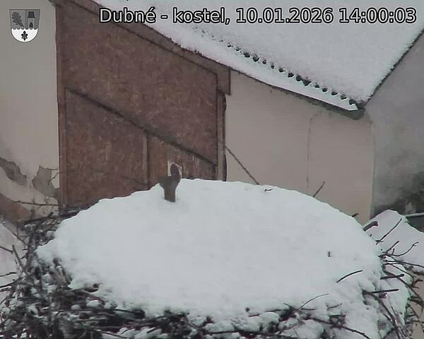 Capi_Dubne_20260110_140003.jpg (1350&nbsp;x&nbsp;1080)