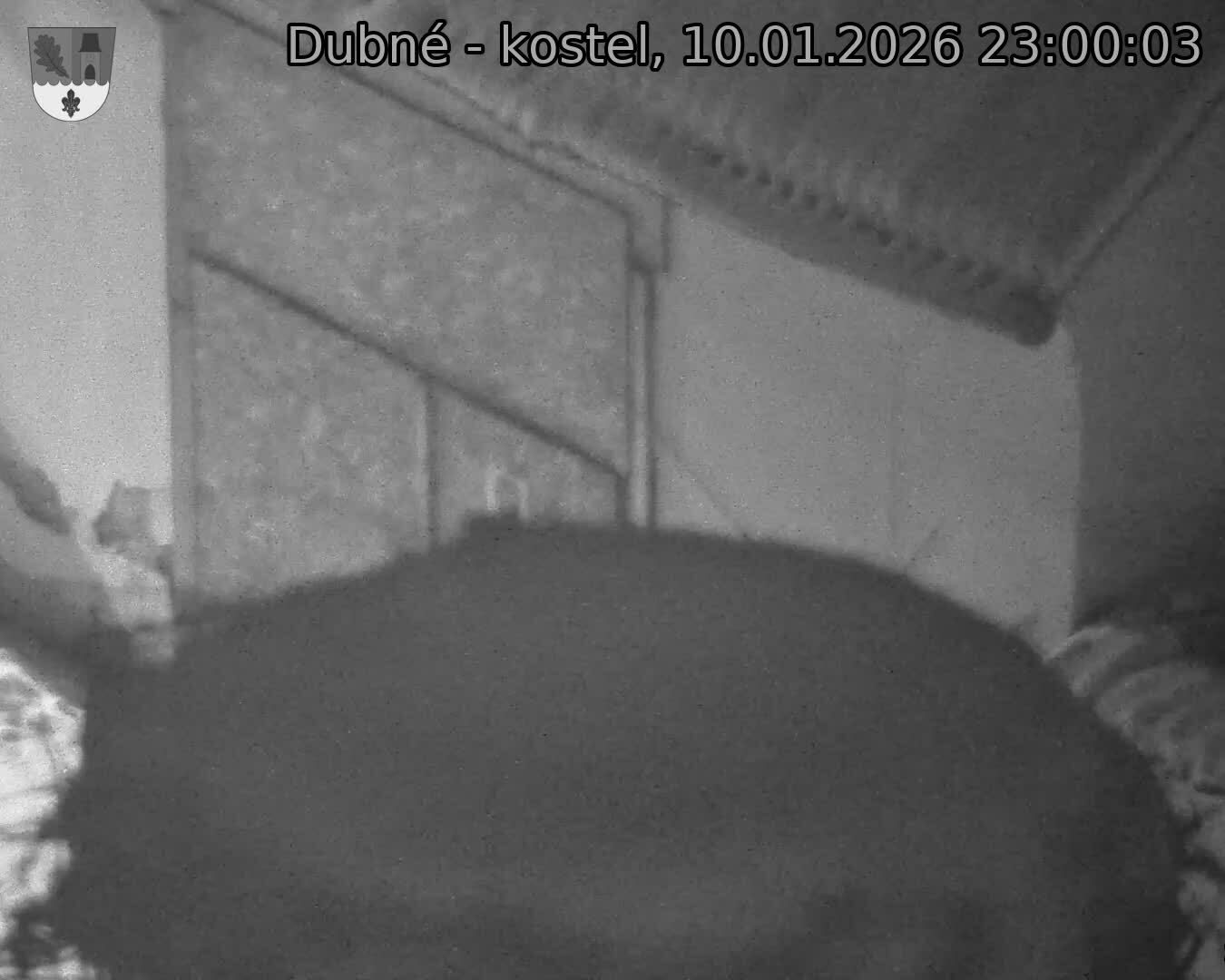 Capi_Dubne_20260110_230003.jpg (1350&nbsp;x&nbsp;1080)